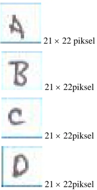 Gambar 4. Contoh Gambar Hasil Segmentasi 