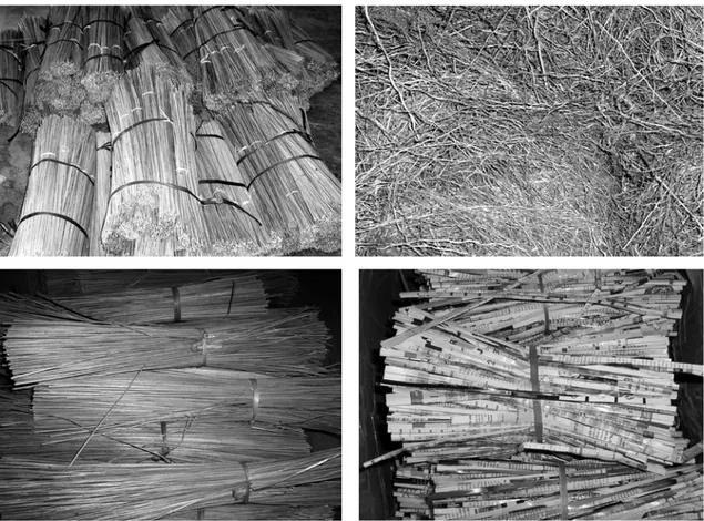 Gambar 7. Beberapa contoh bahan pakan non-benang (searah jarum  jam dari kiri atas), yaitu lidi, akar wangi, kertas, dan mendong