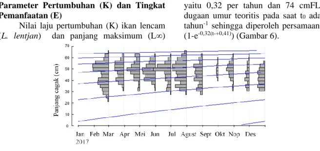 Gambar 5. Pola Rekrutmen L. lentjan Arafura di Probolinggo  Parameter  Pertumbuhan  (K)  dan  Tingkat 