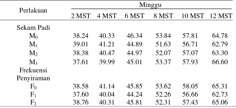 Tabel 1. Tinggi tanaman (cm) pada umur 2-12 MST dari perlakuan sekam padi dan frekuensi penyiraman pada bibit kelapa sawit 