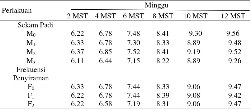 Tabel 3. Jumlah daun pada umur 2-12 MST dari perlakuan sekam padi dan frekuensi penyiraman pada bibit kelapa sawit 