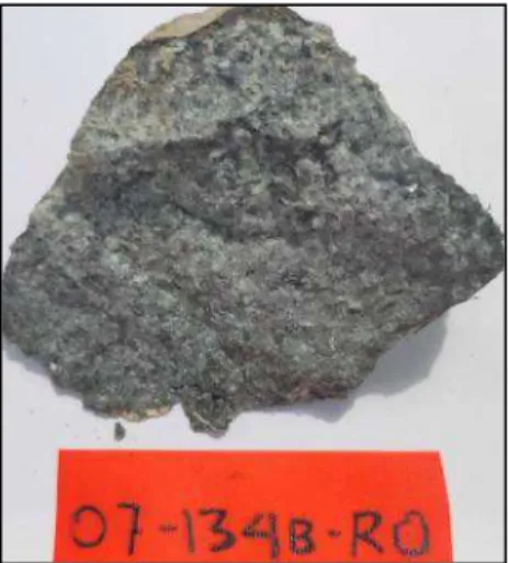 Gambar 2.9 Foto Sampel “Handspecimen” batuan granodiorit (Kaharuddin dkk, 2020) 