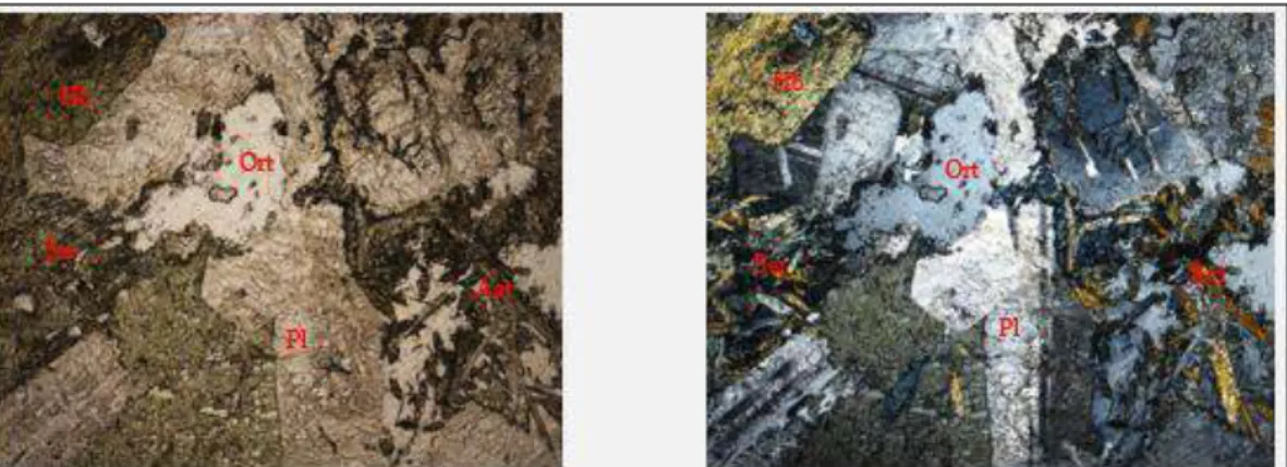 Gambar 2.10 Photograph batuan  granodiorit  yang  secara  petrografi  diberi  nama  monzonit  (07-134B-RO):  k-feldspar  (ortoklas=Kf),  plagioklas  (labradorite=Pl),  hornblende  (Hb),  serta  mineral  sekunder  hasil  alterasi  hidrotermal klorit (Ch) (K
