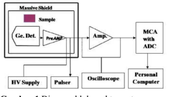 Gambar 1 Diagram blok spektrometer gamma  [10] 