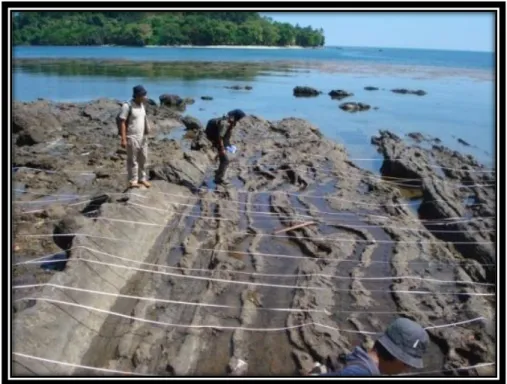 Foto 4 : Singkapan Struktur Slumping pada Tufa (Fasies Distal) Di Pantai  Dutungan, Kabupaten Barru 