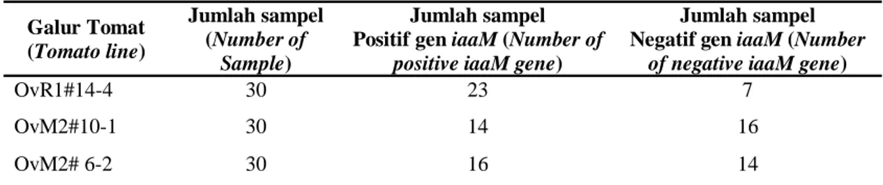 Tabel  1. Data hasil analisis PCR pada tiga galur tomat transgenik T2 (Data of PCR analysis result of  three T2 transgenic tomato lines) 