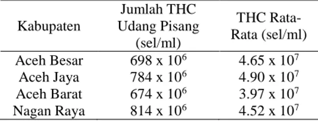 Tabel  1.  Total  Haemocyte  Count  (THC)  Udang  Pisang  (Penaeus  sp.)  yang  Terserang  Ektoparasit di Tambak Pantai Barat Aceh 