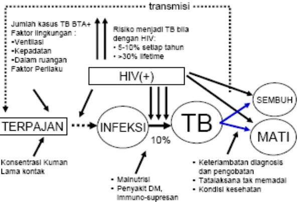 Gambar II. Faktor Risiko Kejadian TB6  