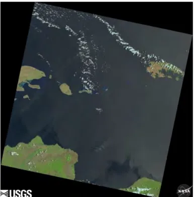 Gambar 4.1 Citra Satelit Landsat 8 Tanggal 15 Oktober 2015 