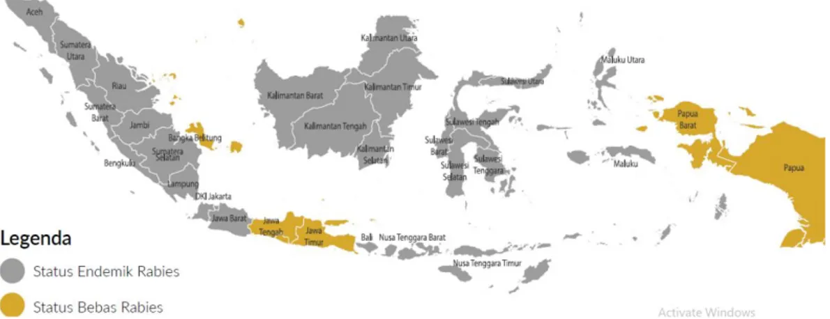 Gambar 4. Peta provinsi endemis rabies di Indonesia tahun 2019 (Kementerian          Pertanian, 2019)