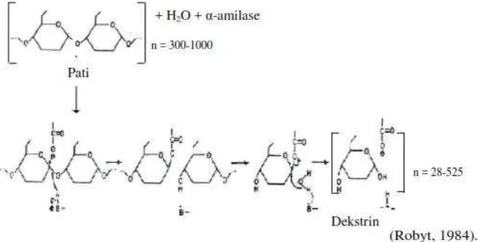 Gambar 2.2 Mekanisme hidrolisis pati secara enzimatis 