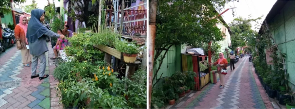 Gambar 1. Ruang terbuka hijau dengan konsep urban farming(lorong garden)