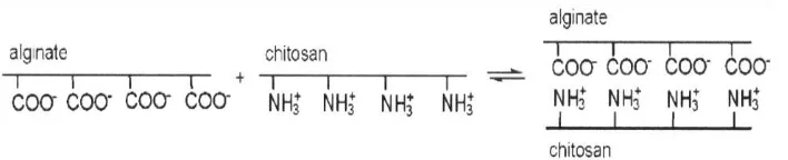 Gambar 2.7  Struktur kimia kitosan (Felt, et al., 1998) 