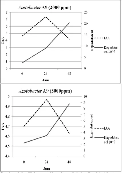 Gambar  4.5-a  Hubungan  Kepadatan  Sel  dan  Produksi  IAA  pada  Isolat Azotobacter A9 pada Perlakuan Triptofan yang Berbeda