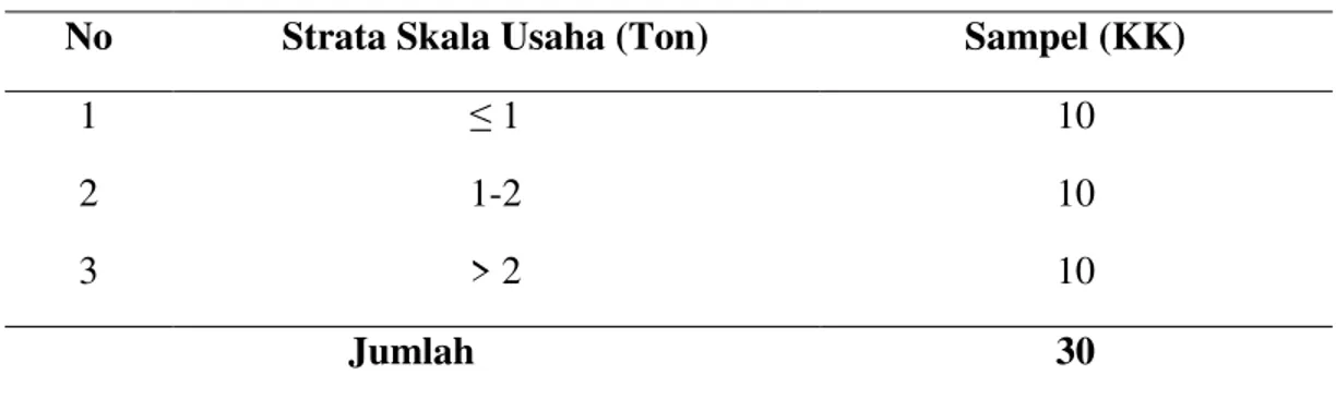 Tabel 3. Pengambilan Sampel berdasarkan Strata Skala Usaha  No  Strata Skala Usaha (Ton)  Sampel (KK) 
