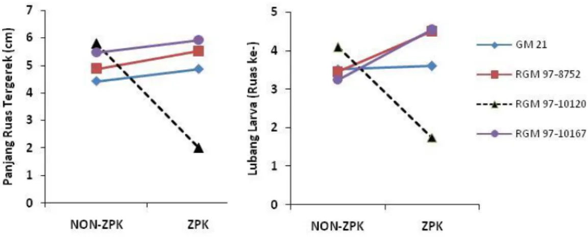 Gambar 2.   Panjang lorong gerek (kiri) dan nomor ruas tempat keluarnya larva S. nivella intacta  (kanan) 20-30 hari setelah aplikasi ZPK  