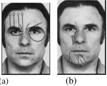Gambar 1 Face muscular action (Ekman, 2002) 