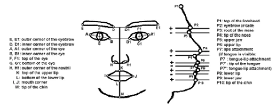 Gambar 6 Facial point detector (Vukadinovic dan Pantic, 2005) 