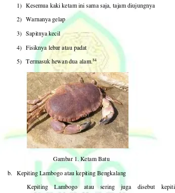 Gambar 1. Ketam Batu 