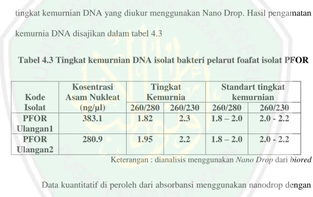 Tabel 4.3 Tingkat kemurnian DNA isolat bakteri pelarut foafat isolat PFOR 