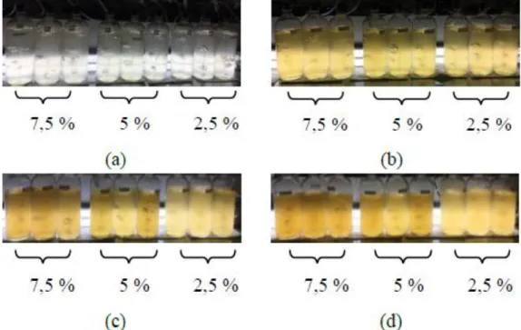Gambar 1. Peningkatan kepadatan sel mikroalga yang dapat dilihat dari pemekatan  warna mulai hari ke-0 (a), 2 (b), 5 (c), 8(d) 