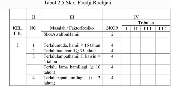 Tabel 2.5 Skor Poedji Rochjati 