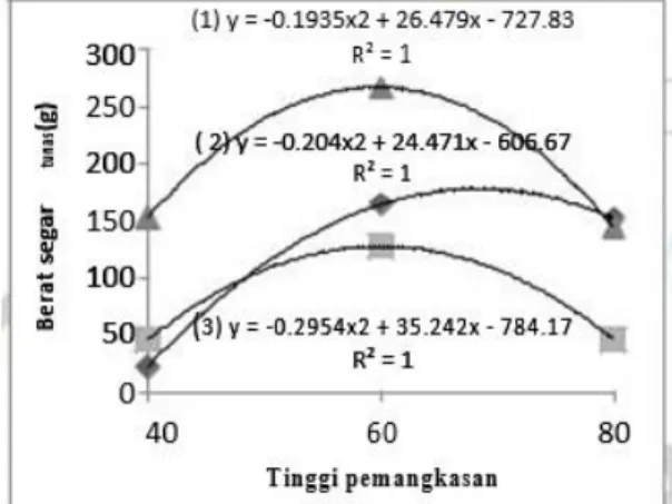 Grafik  5.  Pengaruh  interaksi  macam  pupuk  nitrogen  dan  tinggi pemangkasan terhadap berat segar tunas (g) 