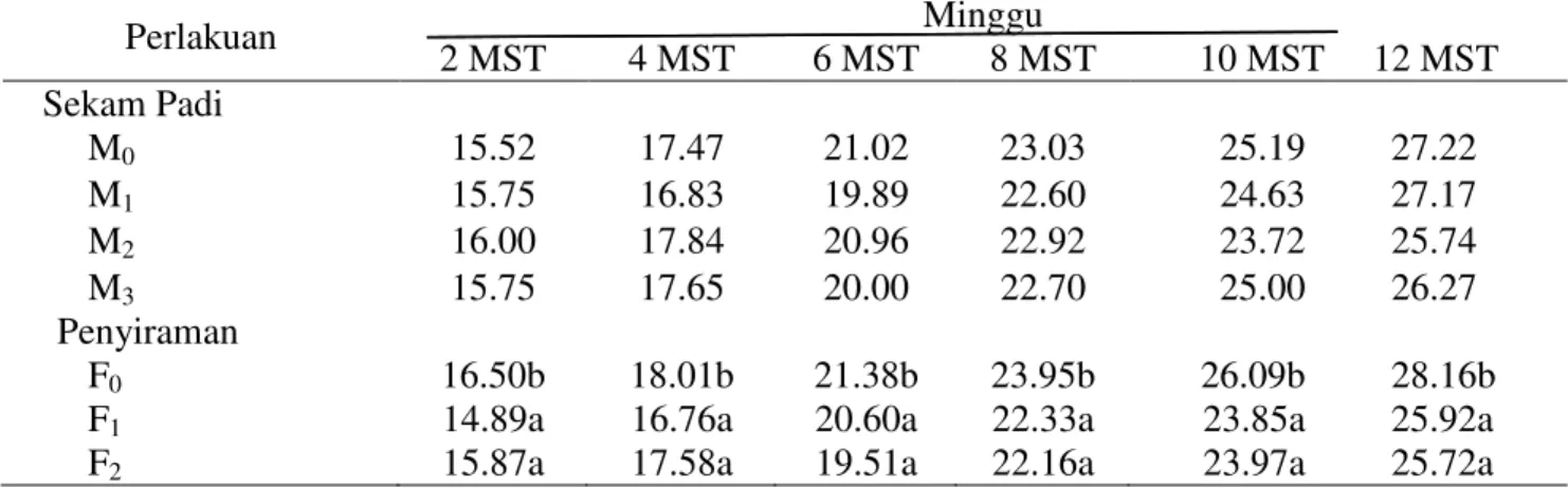 Tabel  2.  Diameter  batang  pada  umur  2-12  MST  dari  perlakuan  sekam  padi  dan  frekuensi  penyiraman pada bibit kelapa sawit 