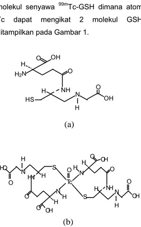 Gambar 1. Struktur molekul (a) GSH, (b)  99m Tc- Tc-GSH 