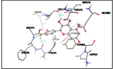Gambar 2. Hasil docking isorhamnetin – H4R 