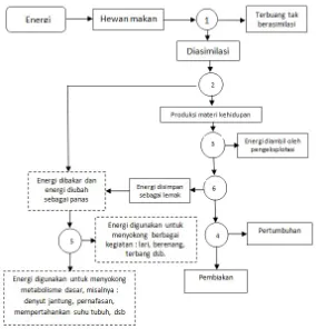 Gambar 13  Aliran energi dalam tubuh hewan (Murtopo dan Gunawan,