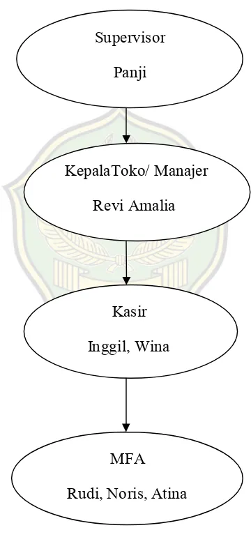 Gambar struktur organisasi Zoya Pahoman Bandar Lampung 