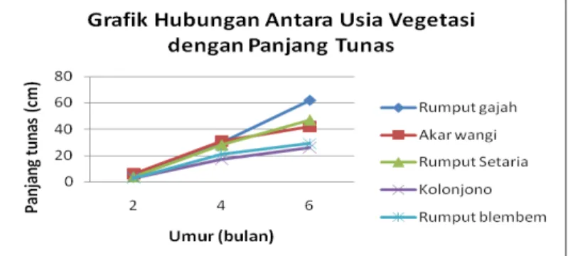Gambar 1. Grafik Hubungan Antara Usia Vegetasi dengan Panjang Tunas 