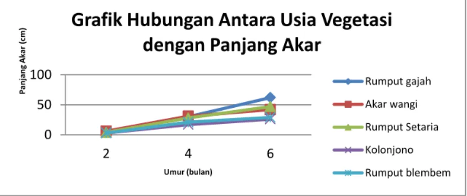 Gambar 3. Grafik hubungan antara usia vegetasi dengan panjang akar 