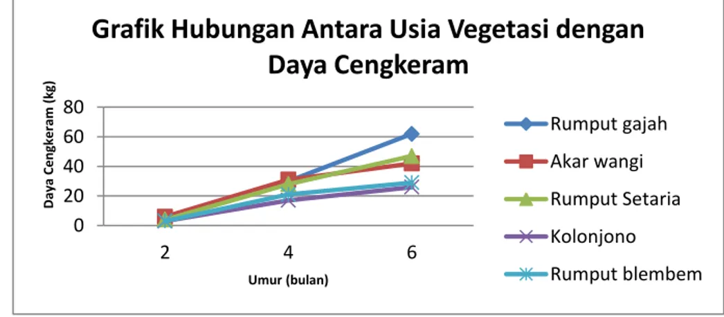 Gambar 4. Grafik hubungan antara usia vegetasi dengan daya cengkeram 