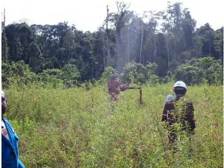 Gambar 4: Salah satu sumur minyak yang berada di Pulau Salawati 