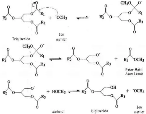 Gambar 2.2. Proses Pembentukan Fatty Acid Methyl Ester (FAME) 
