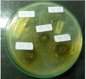 Gambar 3. Hasil uji daya antibakteri ekstrak daun katuk dengan konsentrasi 20%, 40%, 60%, 80%,dan 100% terhadap bakteri Staphylococcus epidermidis