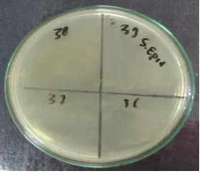 Gambar 7. Uji KBM 