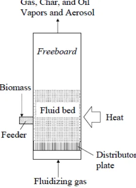 Gambar 2.2 Skema Reaktor Fluidized Bed ( Brown dan Holmgren, 2010)  