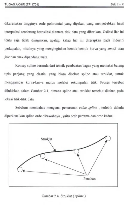 Gambar 2.4. Struklat (spline). 