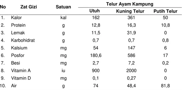 Tabel 2. Komposisi Kimia Telur Ayam Kampung dalam 100 Gram Bahan  Makanan (100 gram kira- kira-kira 2 butir telur ayam kampung) 