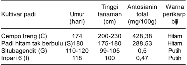 Tabel 1. Data agronomis tetua persilangan tanaman padi beras hitam dan beras putih.