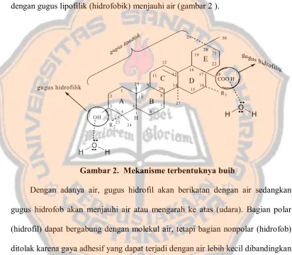 Gambar 2.  Mekanisme terbentuknya buih 