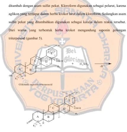 Gambar 5.  Reaksi Salkowski 