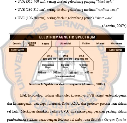 Gambar 6. Spektrum elektromagnetik (Anonim, 2007c) 