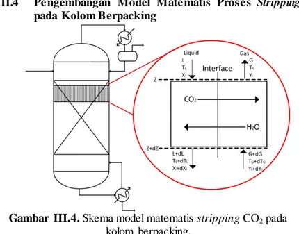 Gambar  III.4. Skema model matematis stripping CO 2  pada  kolom  berpacking.  