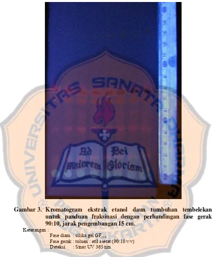 Gambar 3. Kromatogram ekstrak etanol daun tumbuhan tembelekan  