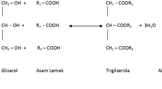 Gambar 2. Reaksi Trigliserida 