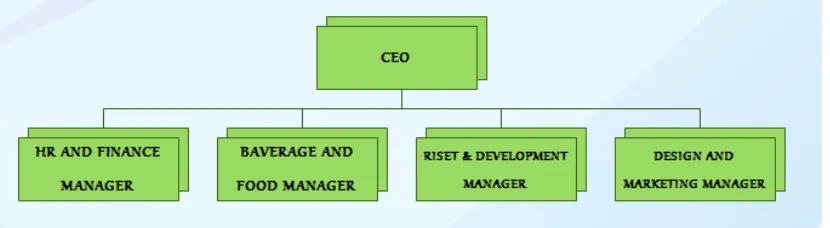 Gambar  Management structure 